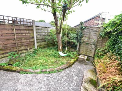 Picture 20